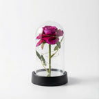 Rose Artificielle sous Cloche LED – Modèle Florya