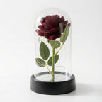 Rose Artificielle sous Cloche LED – Modèle Florya