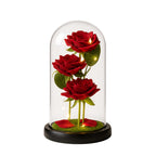 Trio de Roses Artificielles sous Cloche Lumineuse LED
