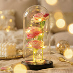 Trio de Roses Artificielles sous Cloche Lumineuse LED