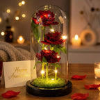 Trio de Roses Artificielles sous Cloche Lumineuse LED