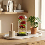 Trio de Roses Artificielles sous Cloche Lumineuse LED