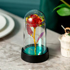 Rose Éternelle sous Cloche – Pureté Lumineuse