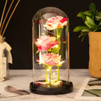 Trio de Roses Artificielles sous Cloche Lumineuse LED